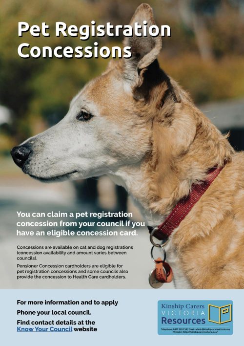 Pet-Registration-flyer-180526-1000